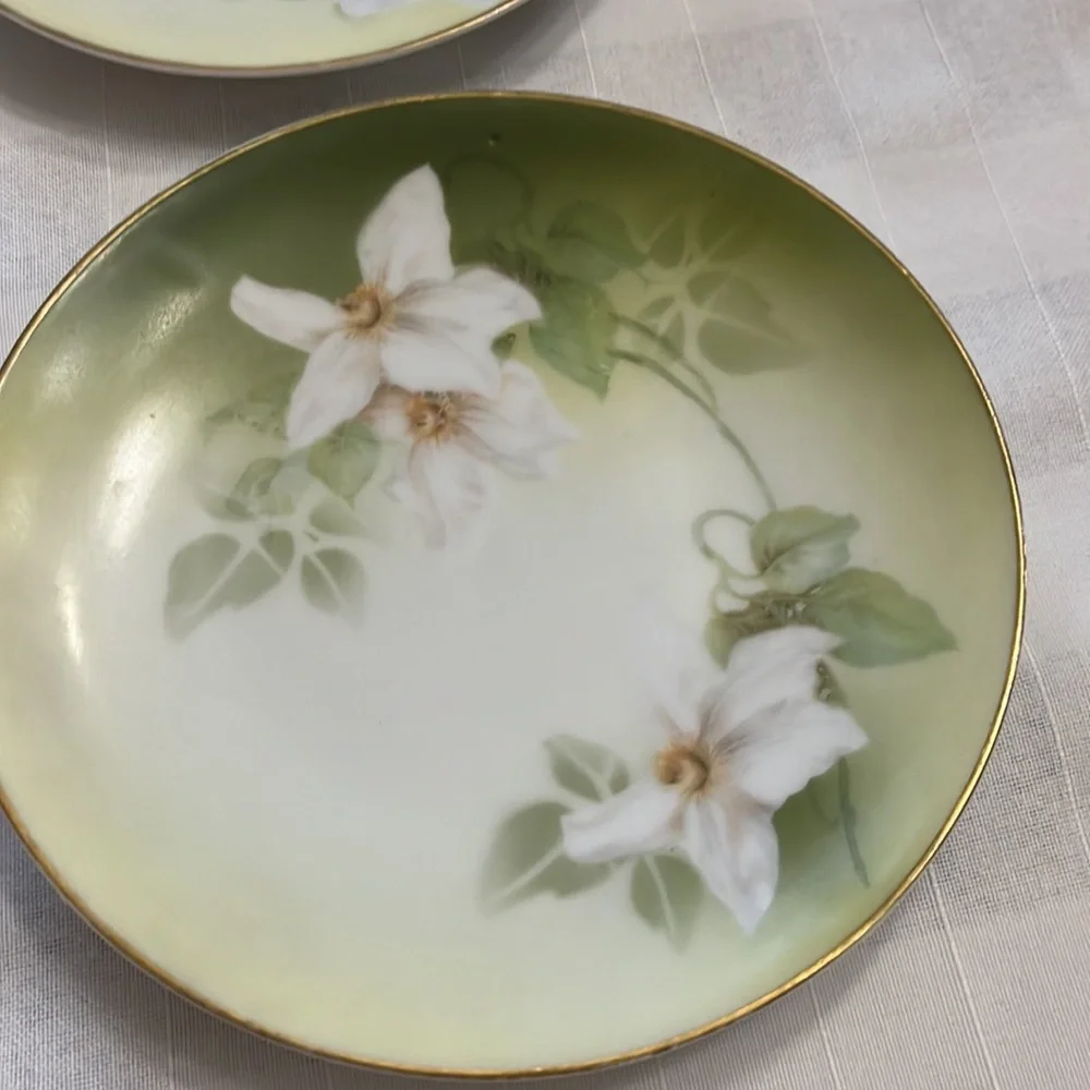 Antique delicate white floral design on porcelain plates RS Tillowitz Germany